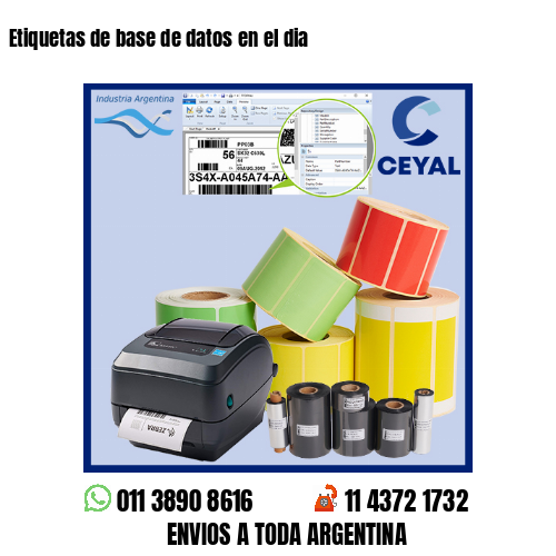 Etiquetas de base de datos en el dia