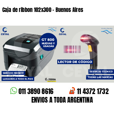 Caja de ribbon 102x300 - Buenos Aires