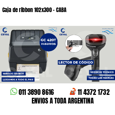 Caja de ribbon 102x300 - CABA