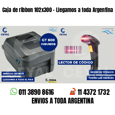 Caja de ribbon 102x300 - Llegamos a toda Argentina