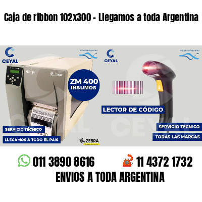 Caja de ribbon 102x300 - Llegamos a toda Argentina