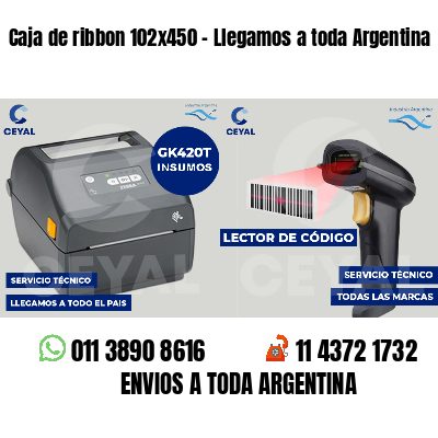 Caja de ribbon 102x450 - Llegamos a toda Argentina