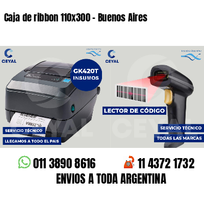 Caja de ribbon 110x300 - Buenos Aires