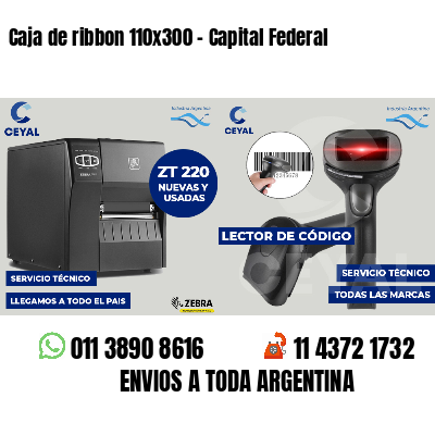 Caja de ribbon 110x300 - Capital Federal