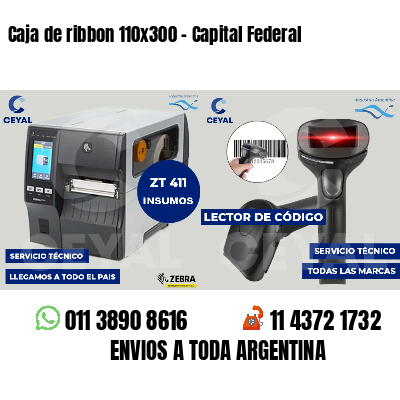 Caja de ribbon 110x300 - Capital Federal