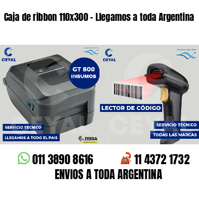 Caja de ribbon 110x300 - Llegamos a toda Argentina