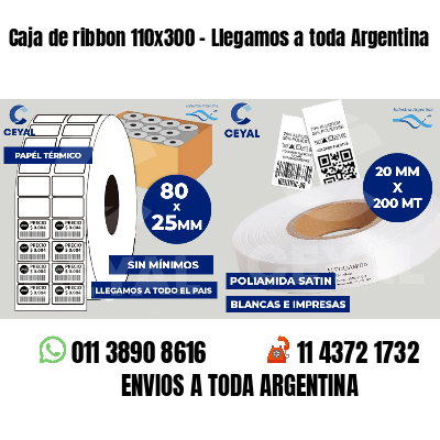 Caja de ribbon 110x300 - Llegamos a toda Argentina