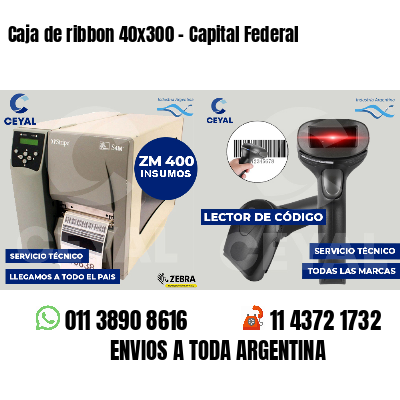 Caja de ribbon 40x300 - Capital Federal
