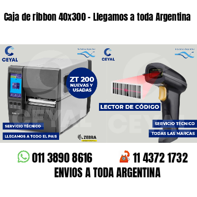 Caja de ribbon 40x300 - Llegamos a toda Argentina