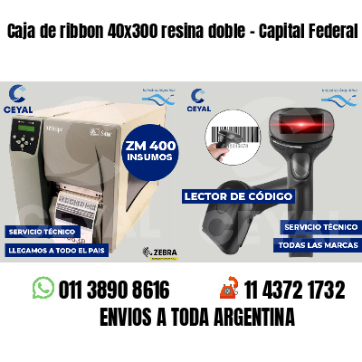 Caja de ribbon 40x300 resina doble - Capital Federal