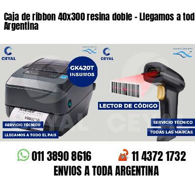 Caja de ribbon 40x300 resina doble - Llegamos a toda Argentina