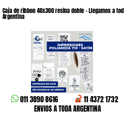 Caja de ribbon 40x300 resina doble - Llegamos a toda Argentina