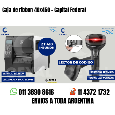 Caja de ribbon 40x450 - Capital Federal
