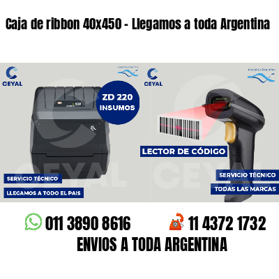 Caja de ribbon 40x450 - Llegamos a toda Argentina