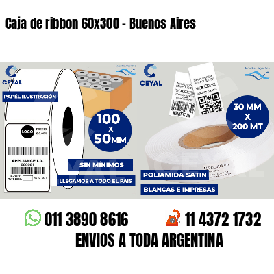 Caja de ribbon 60x300 - Buenos Aires