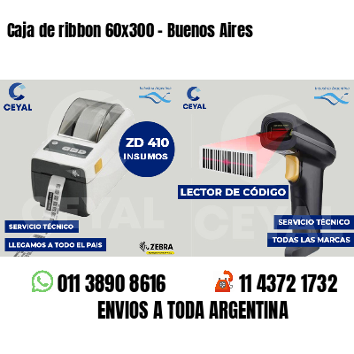 Caja de ribbon 60x300 - Buenos Aires
