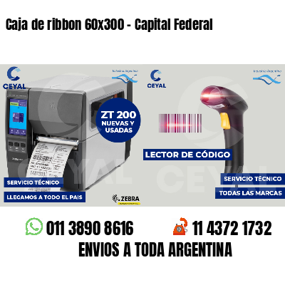 Caja de ribbon 60x300 - Capital Federal