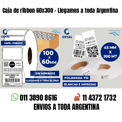 Caja de ribbon 60x300 - Llegamos a toda Argentina