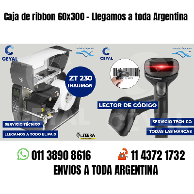 Caja de ribbon 60x300 - Llegamos a toda Argentina
