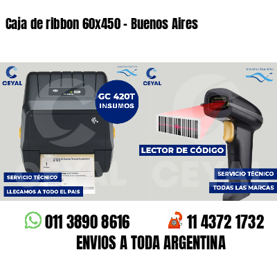 Caja de ribbon 60x450 - Buenos Aires