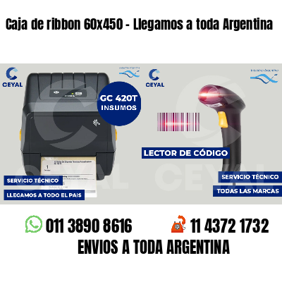 Caja de ribbon 60x450 - Llegamos a toda Argentina