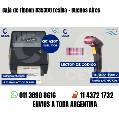 Caja de ribbon 83x300 resina - Buenos Aires
