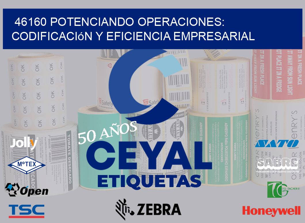 46160 Potenciando Operaciones: Codificación y Eficiencia Empresarial