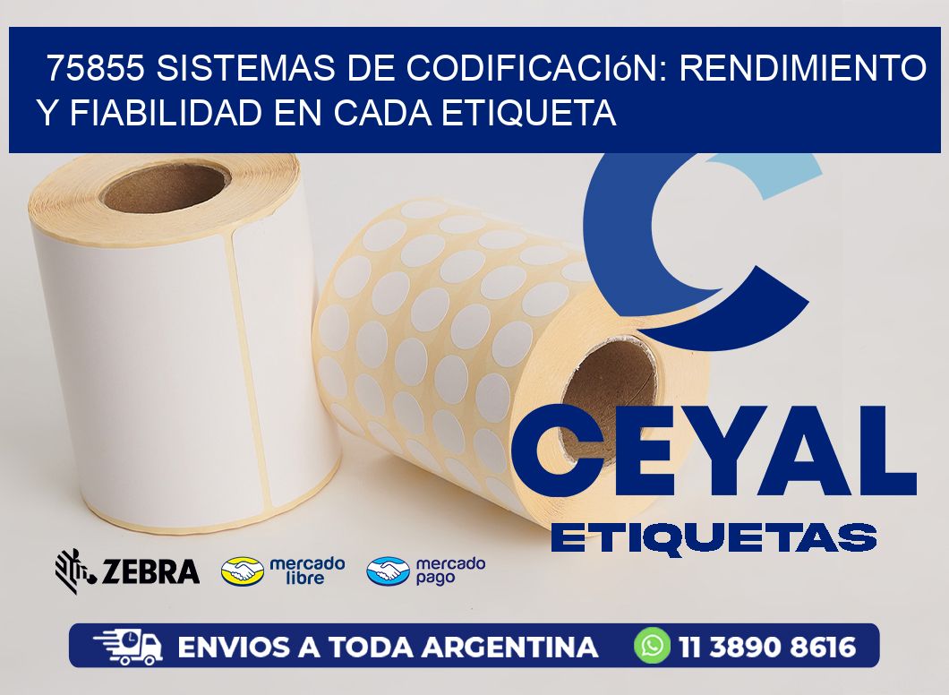 75855 Sistemas de Codificación: Rendimiento y Fiabilidad en Cada Etiqueta