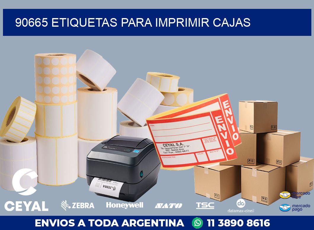 90665 ETIQUETAS PARA IMPRIMIR CAJAS
