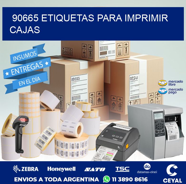90665 ETIQUETAS PARA IMPRIMIR CAJAS
