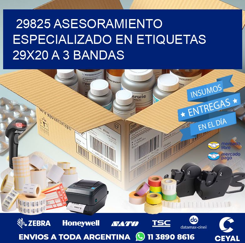 29825 ASESORAMIENTO ESPECIALIZADO EN ETIQUETAS 29X20 A 3 BANDAS