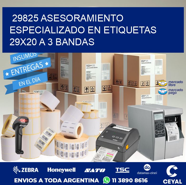 29825 ASESORAMIENTO ESPECIALIZADO EN ETIQUETAS 29X20 A 3 BANDAS