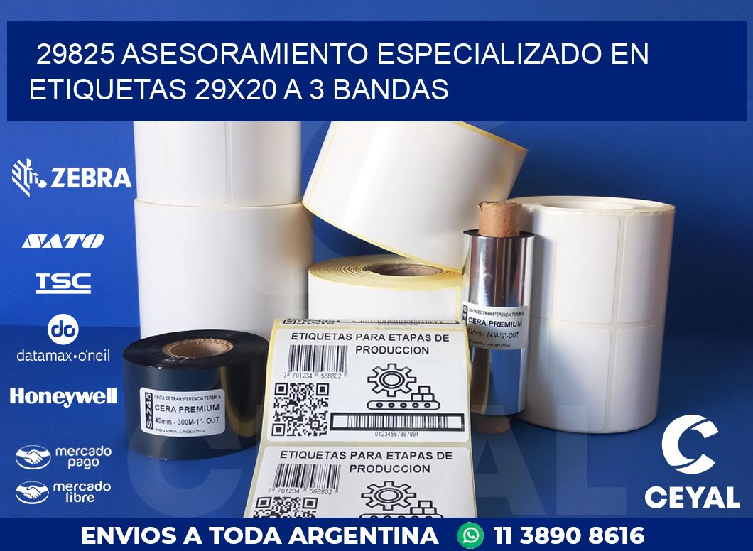 29825 ASESORAMIENTO ESPECIALIZADO EN ETIQUETAS 29X20 A 3 BANDAS