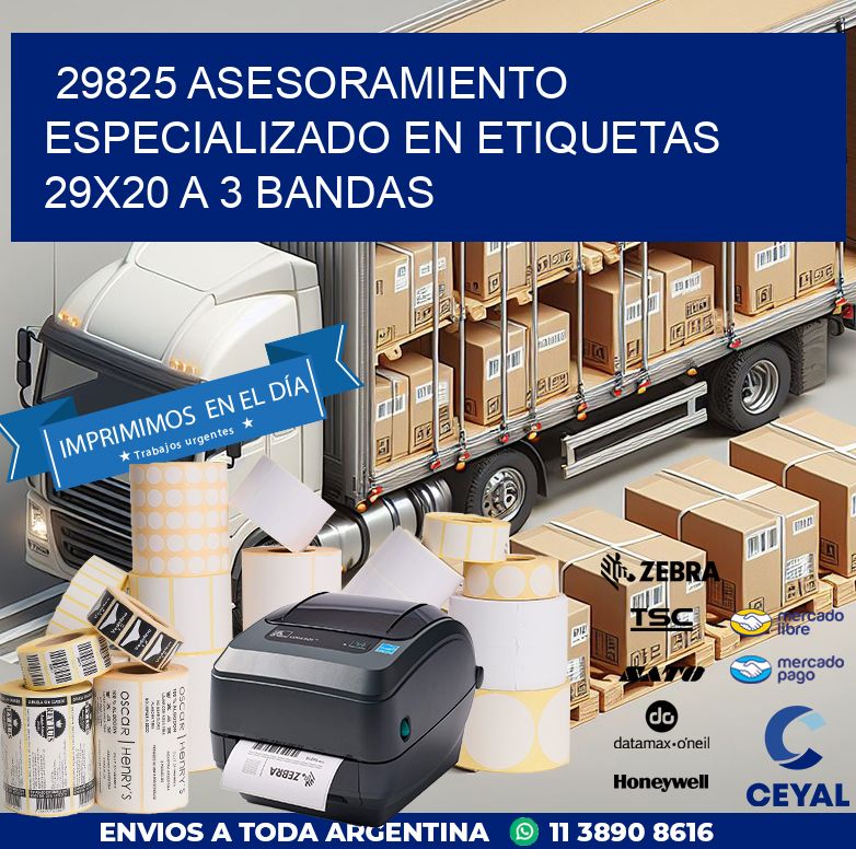 29825 ASESORAMIENTO ESPECIALIZADO EN ETIQUETAS 29X20 A 3 BANDAS