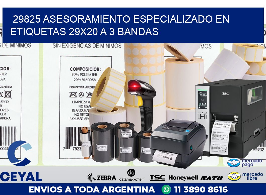 29825 ASESORAMIENTO ESPECIALIZADO EN ETIQUETAS 29X20 A 3 BANDAS
