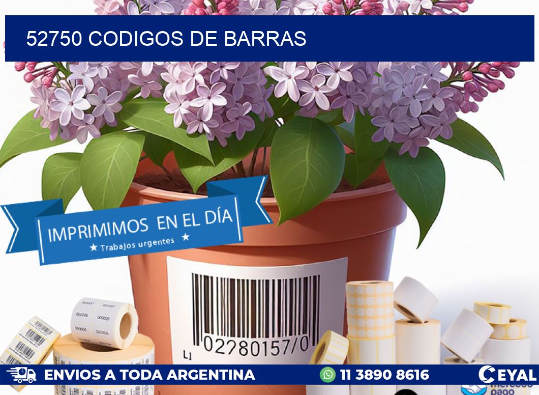 52750 codigos de barras