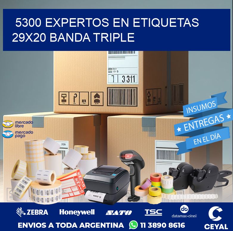 5300 EXPERTOS EN ETIQUETAS 29X20 BANDA TRIPLE
