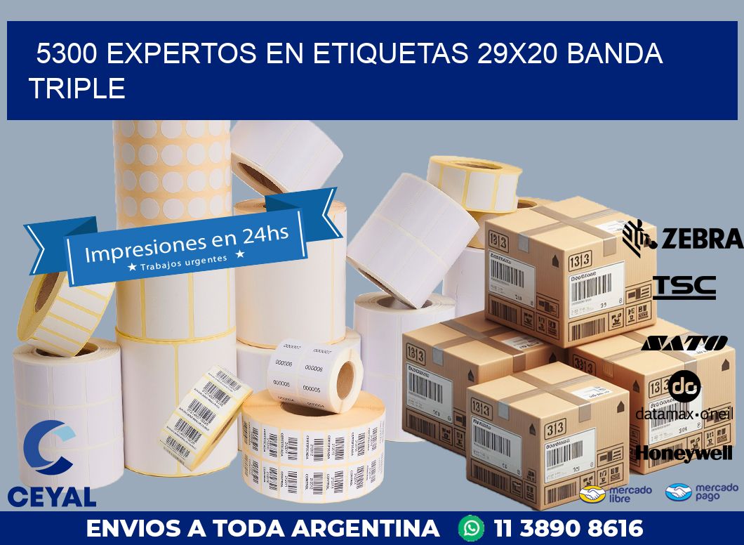 5300 EXPERTOS EN ETIQUETAS 29X20 BANDA TRIPLE