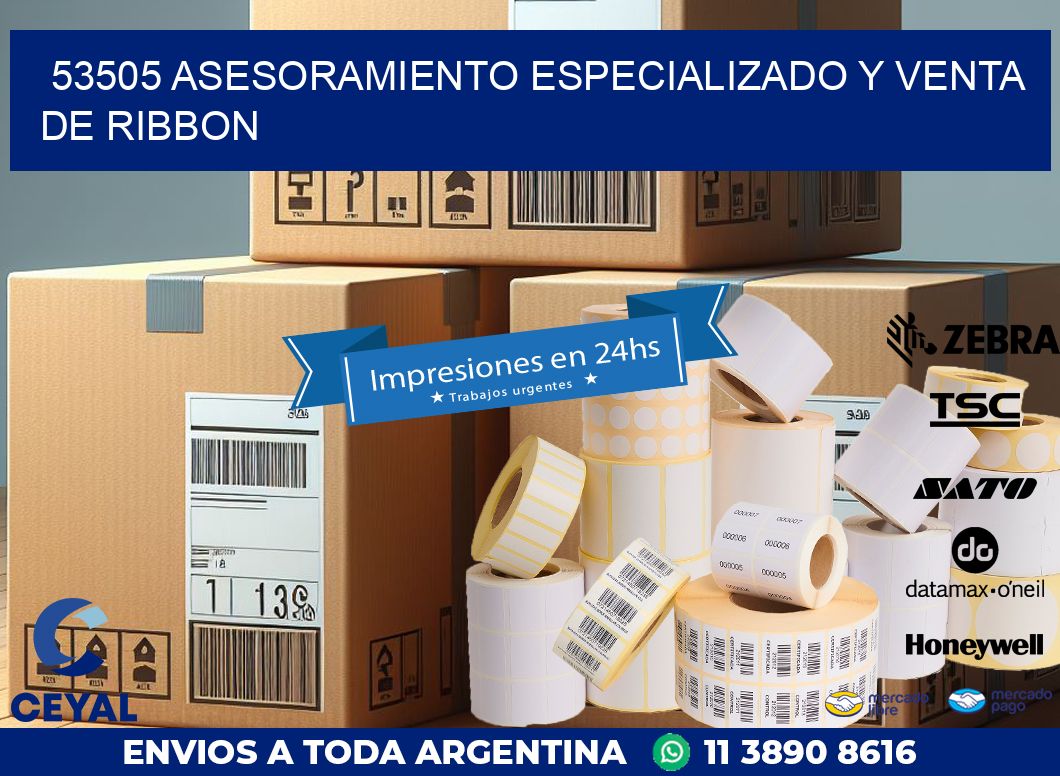 53505 ASESORAMIENTO ESPECIALIZADO Y VENTA DE RIBBON
