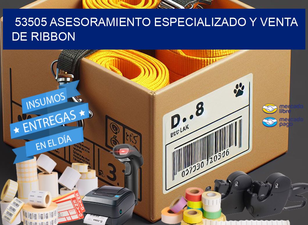 53505 ASESORAMIENTO ESPECIALIZADO Y VENTA DE RIBBON
