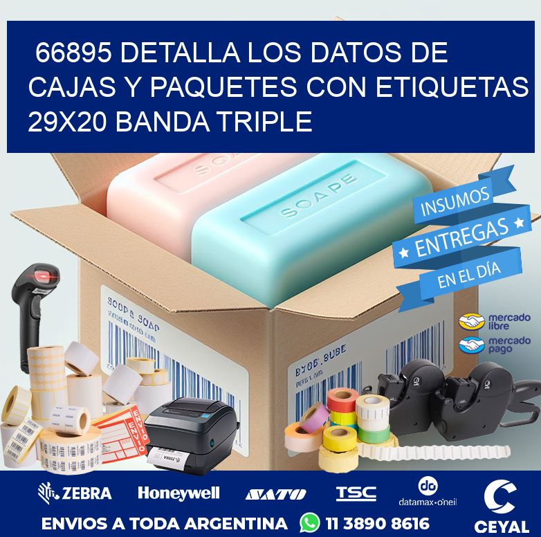 66895 DETALLA LOS DATOS DE CAJAS Y PAQUETES CON ETIQUETAS 29X20 BANDA TRIPLE