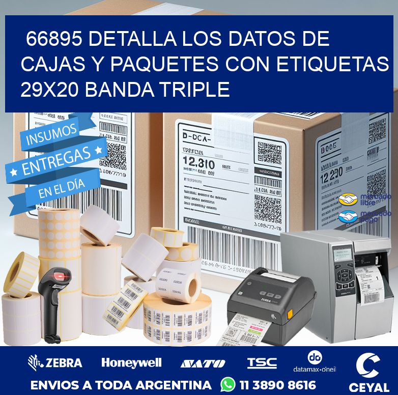 66895 DETALLA LOS DATOS DE CAJAS Y PAQUETES CON ETIQUETAS 29X20 BANDA TRIPLE