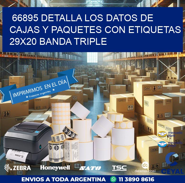 66895 DETALLA LOS DATOS DE CAJAS Y PAQUETES CON ETIQUETAS 29X20 BANDA TRIPLE