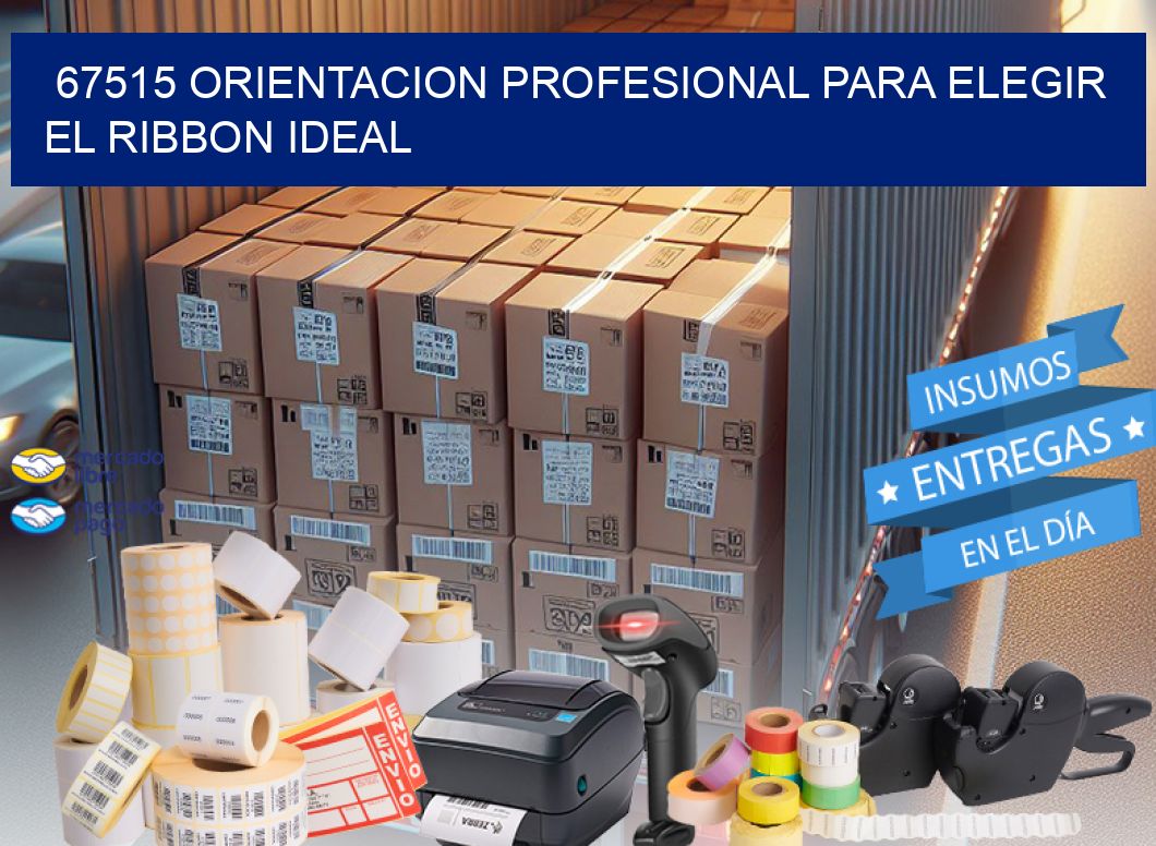 67515 ORIENTACION PROFESIONAL PARA ELEGIR EL RIBBON IDEAL