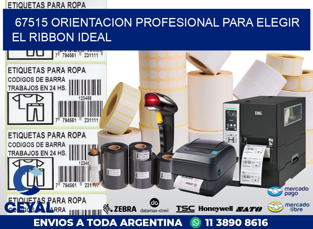 67515 ORIENTACION PROFESIONAL PARA ELEGIR EL RIBBON IDEAL