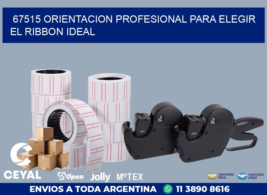 67515 ORIENTACION PROFESIONAL PARA ELEGIR EL RIBBON IDEAL