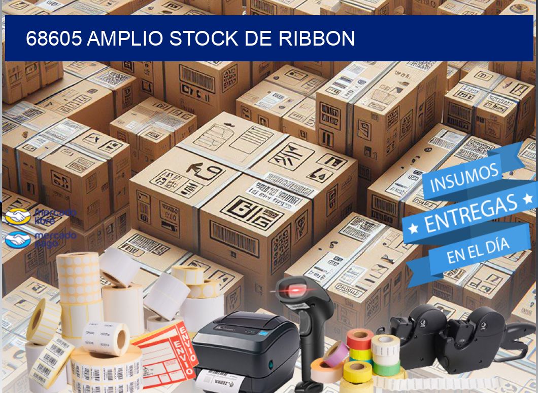 68605 AMPLIO STOCK DE RIBBON