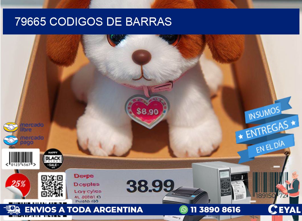 79665 codigos de barras