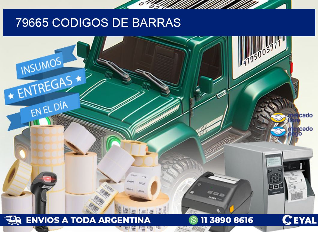 79665 codigos de barras