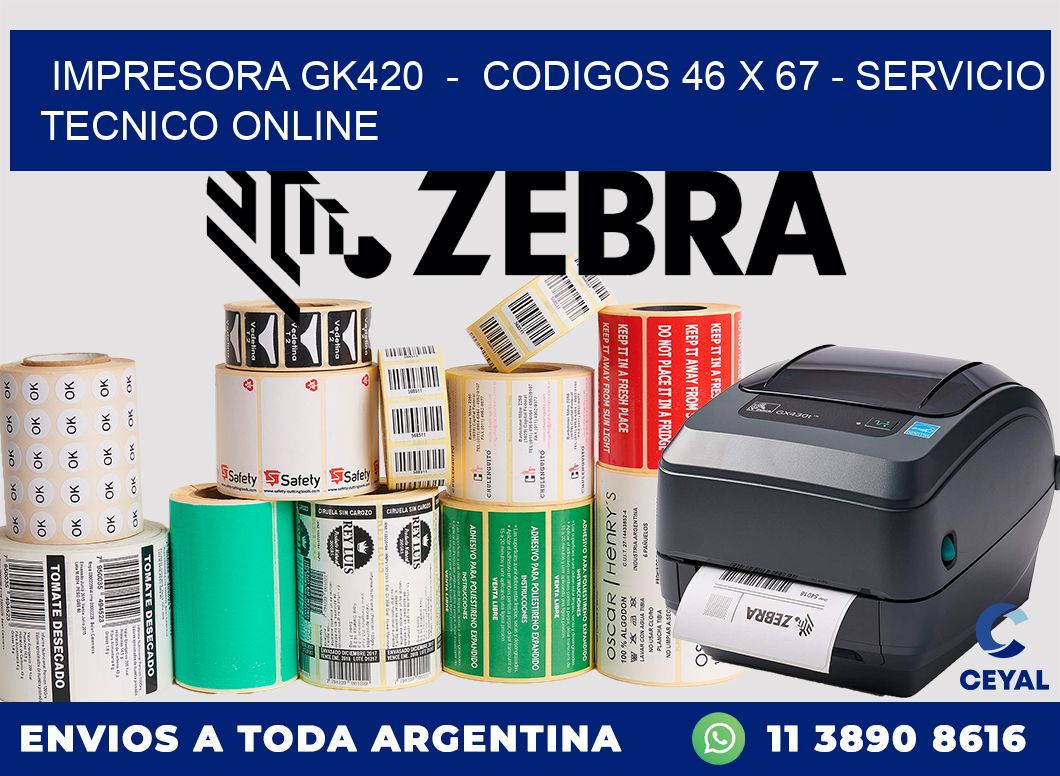 IMPRESORA GK420 - CODIGOS 46 x 67 - SERVICIO TECNICO ONLINE